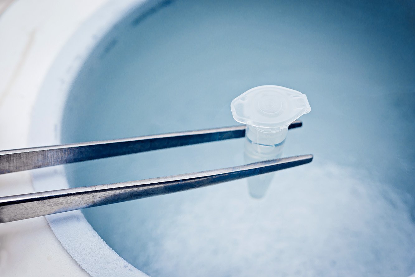 En Clínica CER somos especialista en tratar los problemas de fertilidad. Todos nuestros Ginecólogos poseen la subespecialidad en infertilidad. www.cer.cl