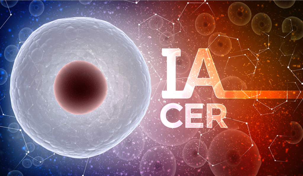 En Clínica CER somos especialista en tratar los problemas de fertilidad. Todos nuestros Ginecólogos poseen la subespecialidad en infertilidad. www.cer.cl