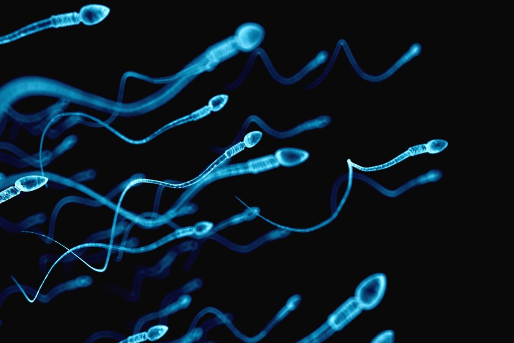 En Clínica CER somos especialista en tratar los problemas de fertilidad. Todos nuestros Ginecólogos poseen la subespecialidad en infertilidad. www.cer.cl