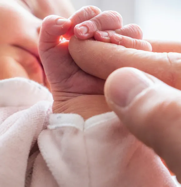 Estudio de la fertilidad masculina - Clínica CER