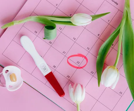 Inseminación intrauterina con Bono PAD Fonasa Clínica CER